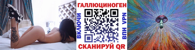 Купить где  Сельцо  Галлюциногенные грибы Psilocybine cubensis 