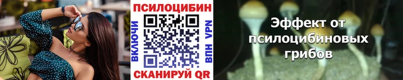 Галлюциногенные грибы прущие грибы Сельцо